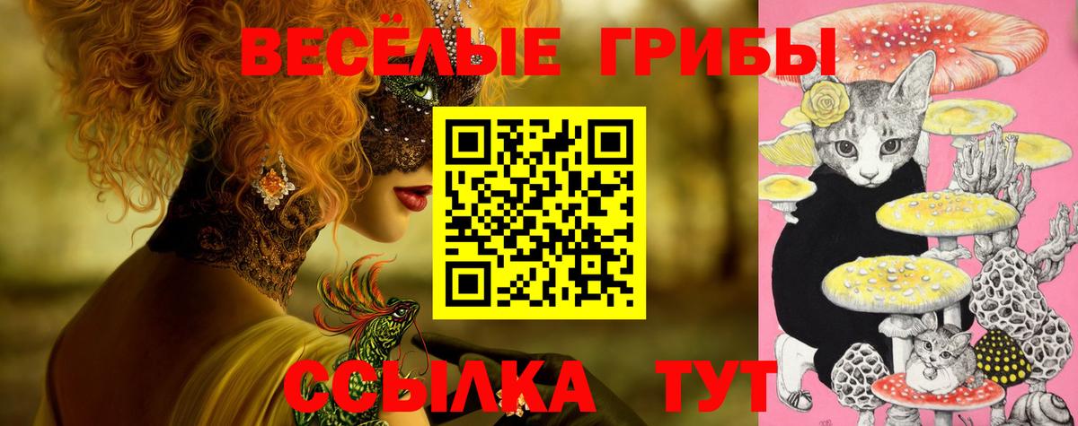 Изобильный  Галлюциногенные грибы Cubensis  Вход с VPN 