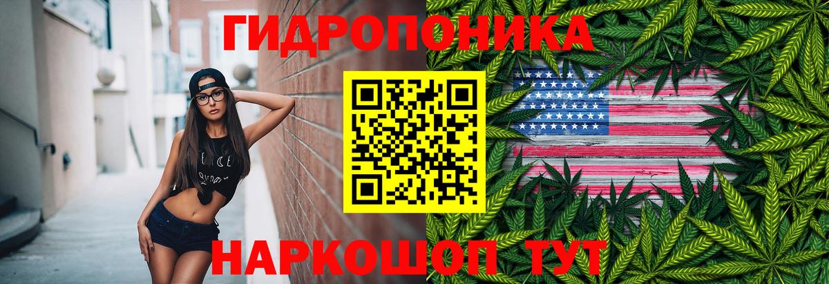Изобильный  Конопля гибрид  Канабис White Widow  Конопля сатива  Вход с VPN 